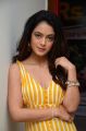 Ninu Veedani Needanu Nene Actress Anya Singh Stills