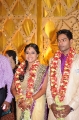 Aparna Pillai Wedding Reception Gallery