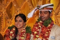 Aparna Pillai Wedding Reception Gallery