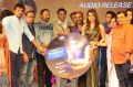 Apartment Movie Audio Launch Photos