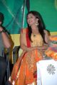 Actress Bhumika Chawla at April Fool Movie Audio Release Function Photos