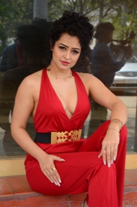 Actress Apsara Rani Hot Images @ Maa Ishtam Press Meet