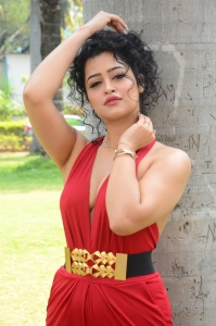 Maa Ishtam Actress Apsara Rani Images