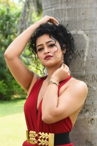 Maa Ishtam Heroine Apsara Rani Images