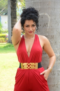 Actress Apsara Rani Images @ Maa Ishtam Press Meet