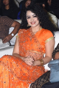 Actress Anketa Maharana Latest Photos @ Seetimaarr Pre Release