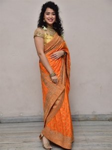 Apsara Rani Saree Pics @ Talakona Trailer Launch
