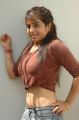 Actress Prachi Adhikari in Arakkonam Tamil Movie Hot Stills