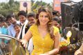 Aranmanai 2 Hansika Motwani Wallpapers