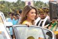 Aranmanai 2 Hansika Motwani Wallpapers