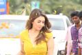 Aranmanai 2 Actress Hansika Motwani Cute Wallpapers