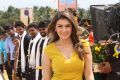 Aranmanai 2 Heroine Hansika Motwani Wallpapers