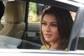 Aranmanai 2 Actress Hansika Motwani Cute Wallpapers