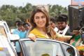 Actress Hansika Motwani HD Wallpapers in Aranmanai 2 Movie