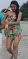 Actress Trisha Hot Bikini in Aranmanai 2 Movbie