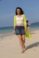 Aranmanai 2 Actress Trisha Hot Images