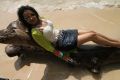 Actress Trisha Hot in Aranmanai 2 Images