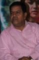 Actor Swaminathan @ Aranmanai Movie Audio Launch Stills