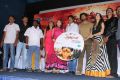 Aranmanai Movie Audio Launch Stills