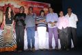 Aranmanai Movie Audio Launch Stills