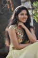 Actress Nayana Nair @ Arasakulam Audio Launch Photos