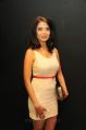 Actress Adonika at Aravind 2 Movie Audio Release Photos
