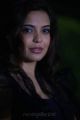 Adonika at Aravind 2 Movie Latest Stills