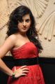 Actress Archana Hot Photos at Panchami Audio Release