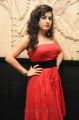 Archana Hot Photos at Panchami Audio Release