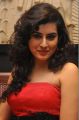 Archana aka Veda Sastry Hot Photos at Panchami Audio Launch