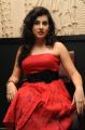 Archana Veda Hot Photos at Panchami Audio Launch