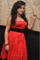 Archana Veda Hot Photos at Panchami Audio Release