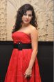 Archana Veda Hot Photos at Panchami Audio Release