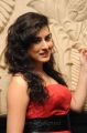 Actress Archana Hot Photos at Panchami Audio Release