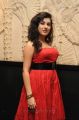 Veda Archana Hot Photos at Panchami Audio Release