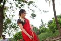 Actress Archana Veda Sastry Hot Red Saree Stills