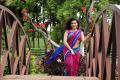 Anandini Movie Actress Archana Hot Saree Photos