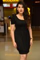 Actress Archana Shastry Photos @ Jessie Movie Success Meet