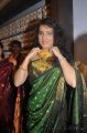 Archana Veda In Silk Saree Stills