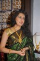 Archana Veda In Silk Saree Stills