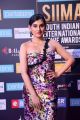 Actress Archana Veda Pics @ SIIMA Awards 2018 Red Carpet (Day 2)