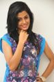 Arere Movie Actress Anisha Ambrose Photoshoot Stills