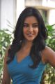 Actress Priya Anand @ Arima Nambi Movie Press Meet Stills