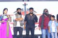 Arjun Reddy Audio Release Photos