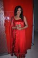 Tamil Actress Arundhati Hot Photos at Sundattam Audio Release