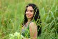 Aruva Sandai Actress Malavika Menon Hot Stills