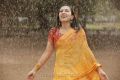 Aruvam Movie Actress Catherine Tresa Images HD