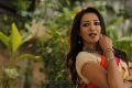 Actress Catherine Tresa in Aruvam Movie Images HD