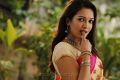 Aruvam Movie Actress Catherine Tresa Images HD