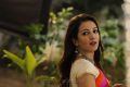 Aruvam Movie Actress Catherine Tresa Images HD